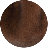 Faux Fur Fabric Swatch by Helen Moore
