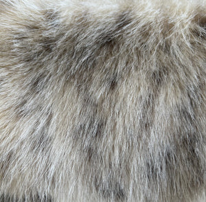 Winter Cat