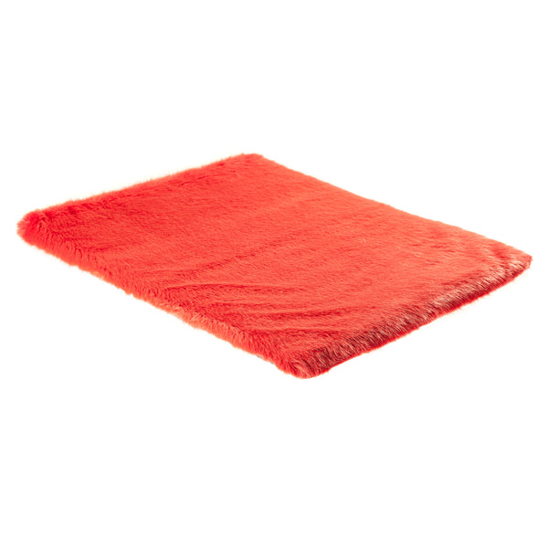 Pet Mat by Helen Moore